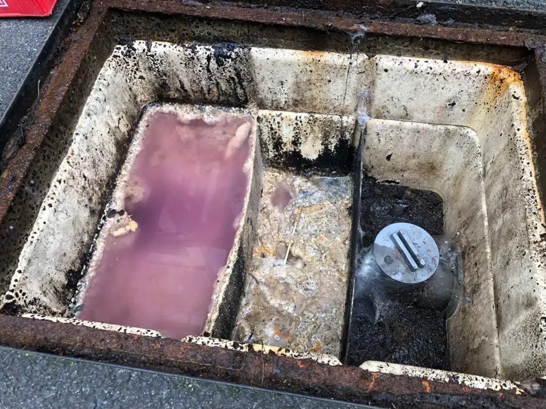 これが噂のグリストラップ😱