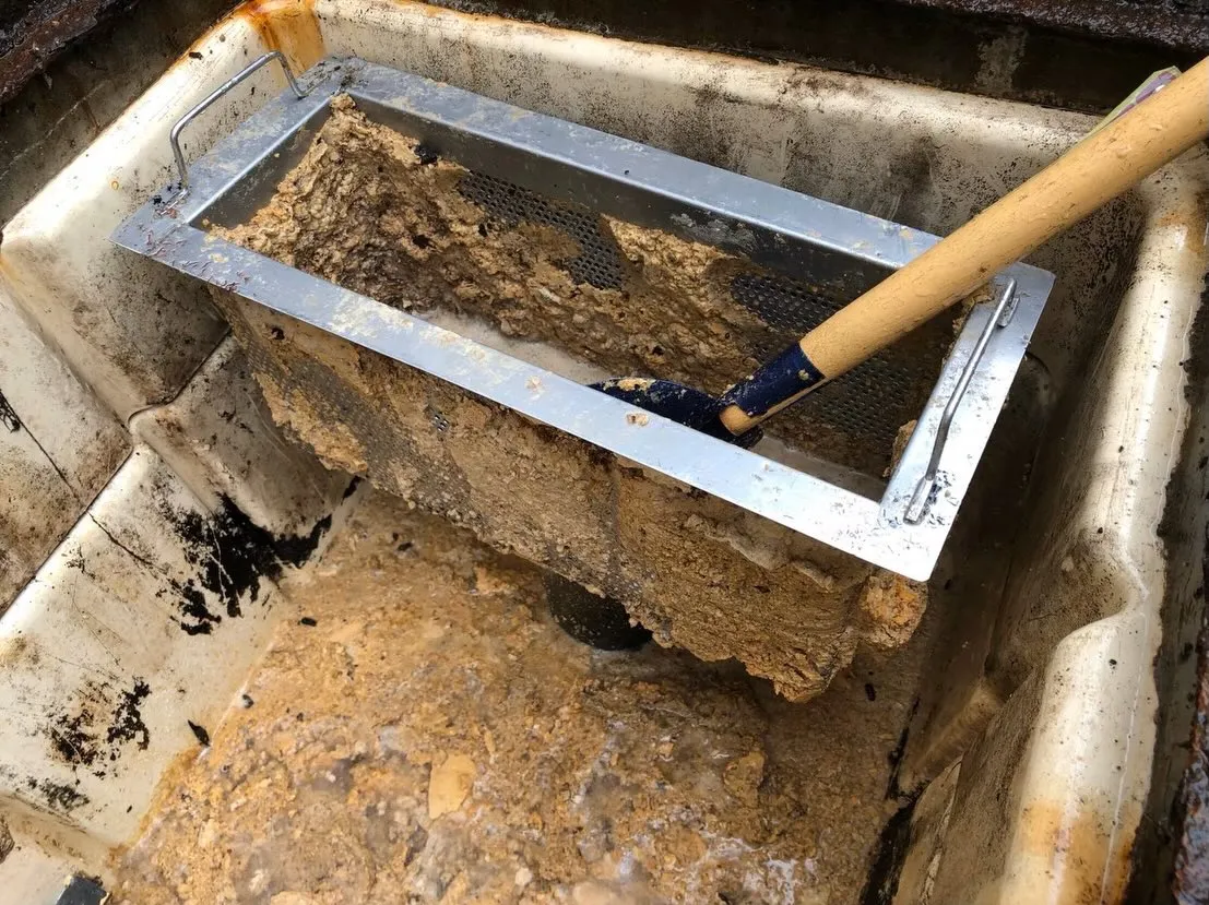 これが噂のグリストラップ😱