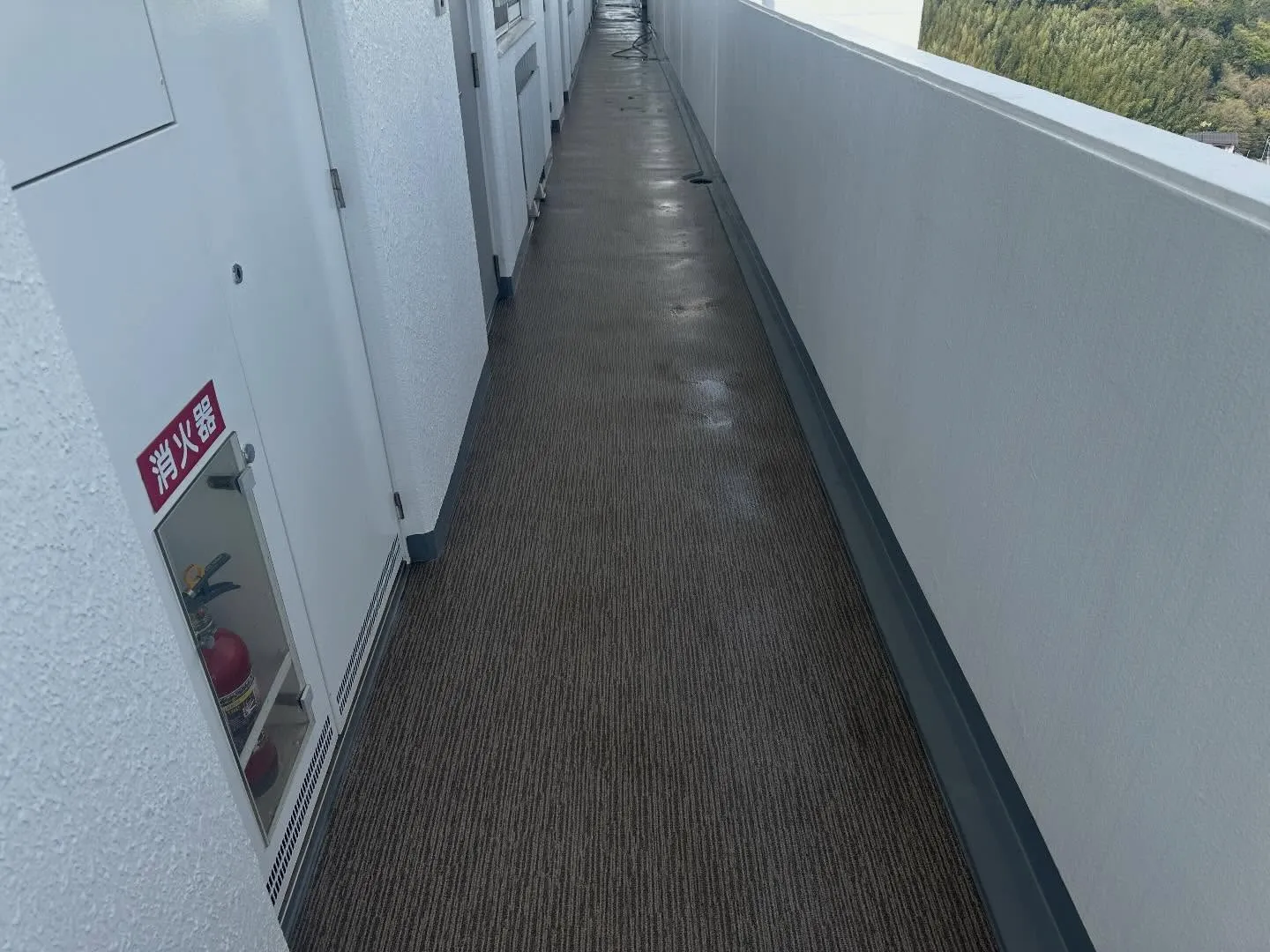 知多半島の先っぽまで仕事しに来ました