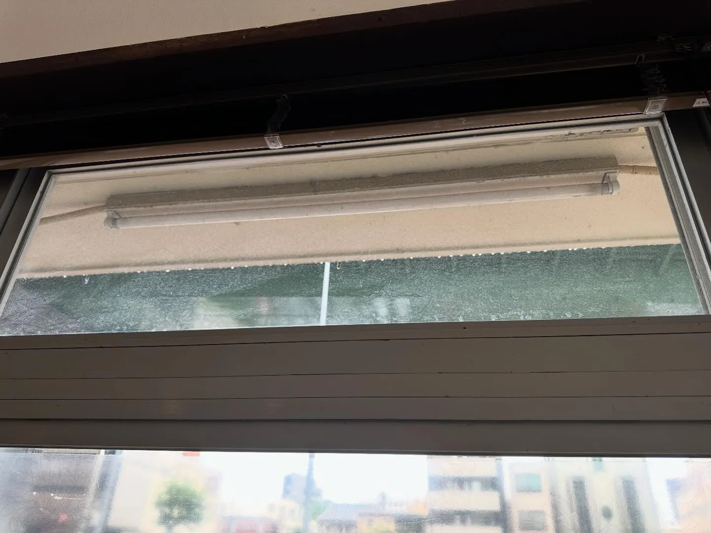 大樹さん、いつもありがとうございます！